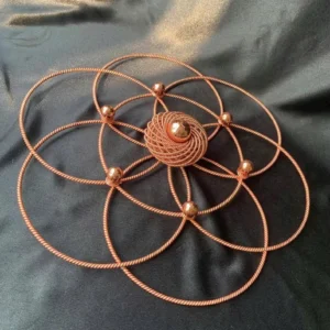 Flower of Life with Torus